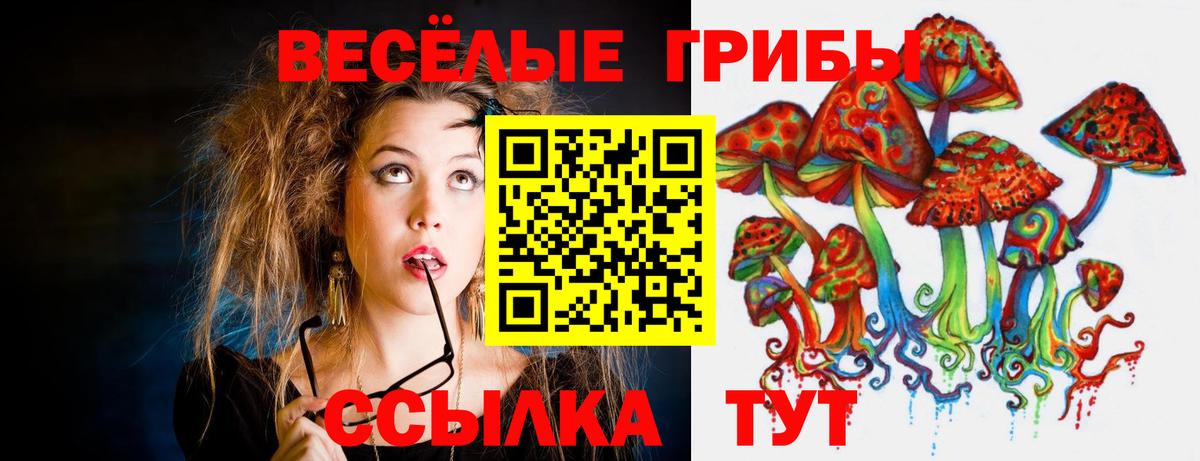 Псилоцибиновые грибы Cubensis Усинск